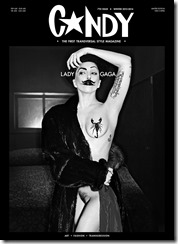 Lady-Gaga-251214 (5)